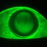 Fluorescein of GP Lens